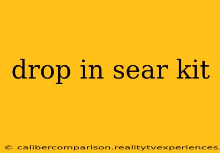 drop in sear kit