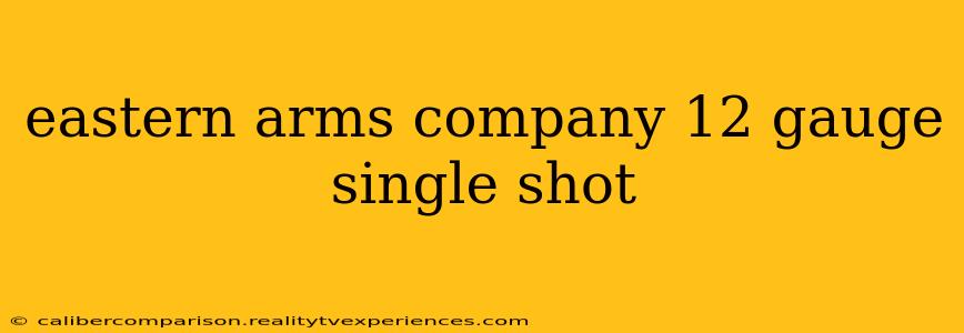 eastern arms company 12 gauge single shot