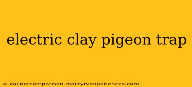 electric clay pigeon trap