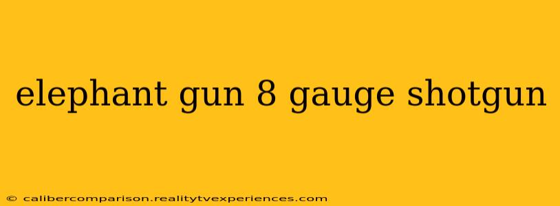 elephant gun 8 gauge shotgun