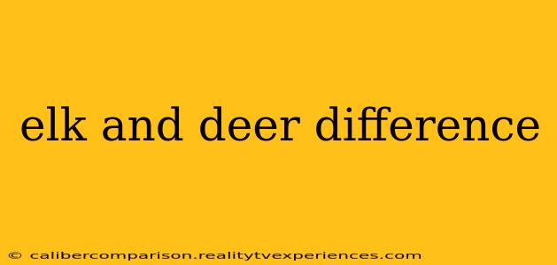 elk and deer difference