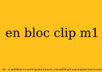 en bloc clip m1