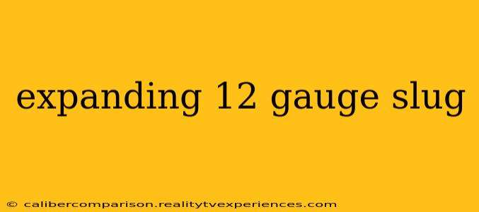 expanding 12 gauge slug