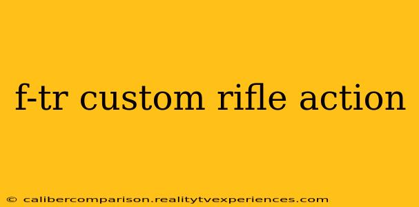 f-tr custom rifle action