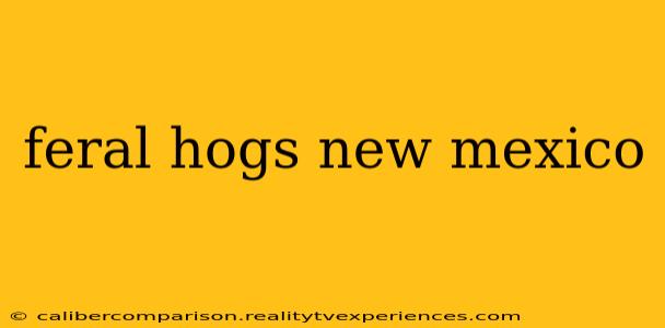 feral hogs new mexico