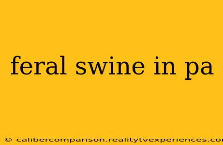 feral swine in pa