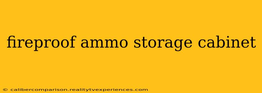 fireproof ammo storage cabinet