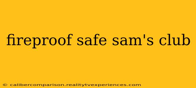 fireproof safe sam's club