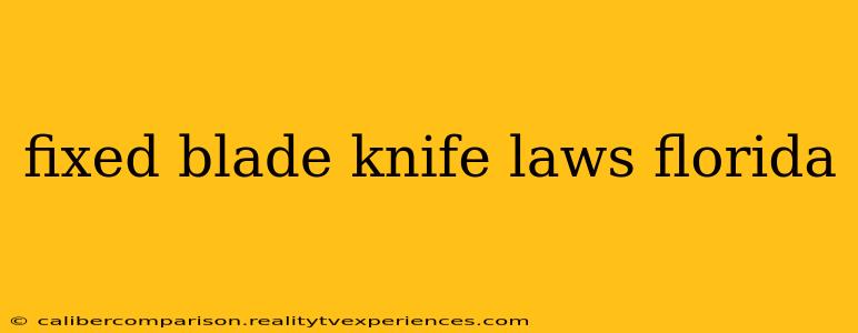 fixed blade knife laws florida