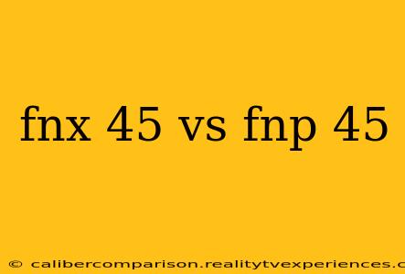 fnx 45 vs fnp 45