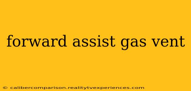 forward assist gas vent