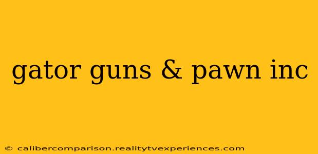 gator guns & pawn inc