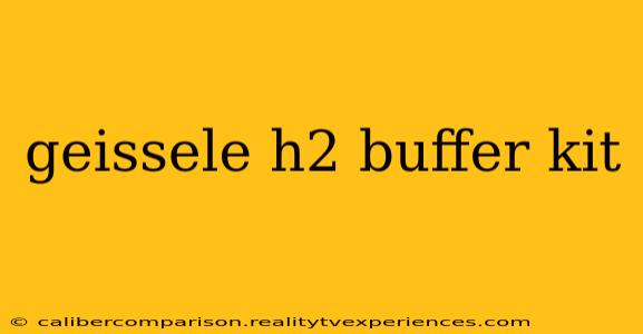 geissele h2 buffer kit