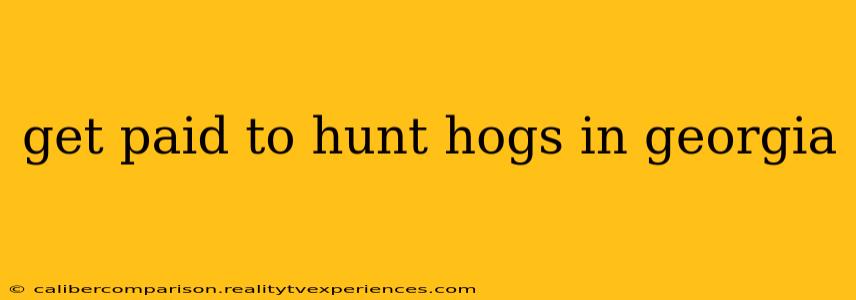 get paid to hunt hogs in georgia