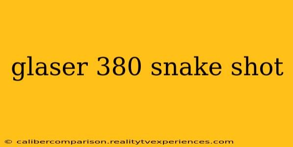 glaser 380 snake shot