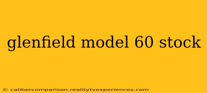 glenfield model 60 stock