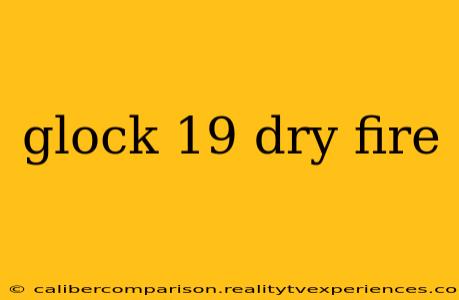 glock 19 dry fire