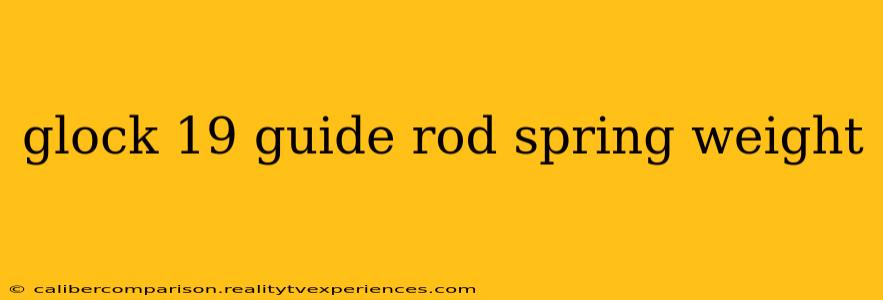 glock 19 guide rod spring weight