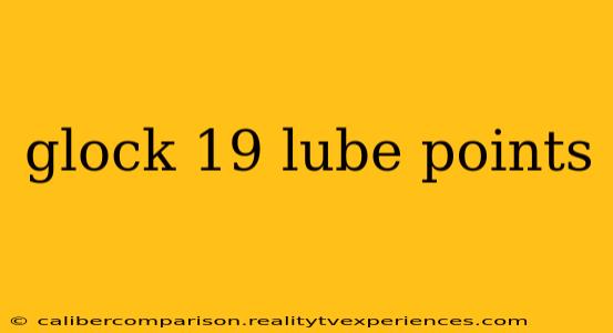 glock 19 lube points