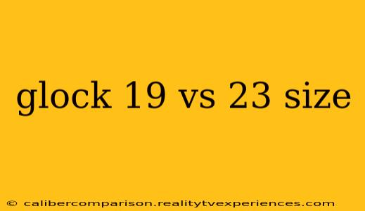 glock 19 vs 23 size