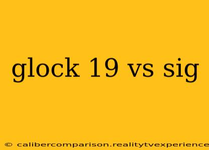 glock 19 vs sig