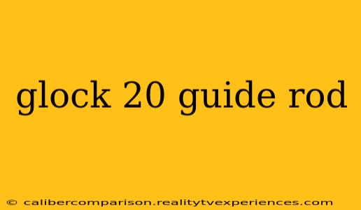 glock 20 guide rod