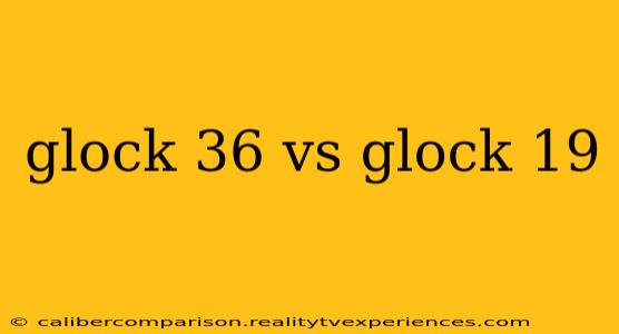 glock 36 vs glock 19