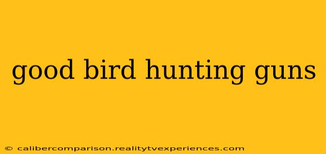 good bird hunting guns