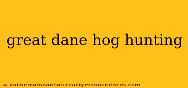 great dane hog hunting