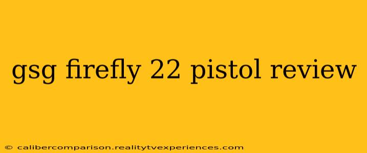 gsg firefly 22 pistol review