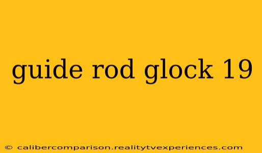 guide rod glock 19