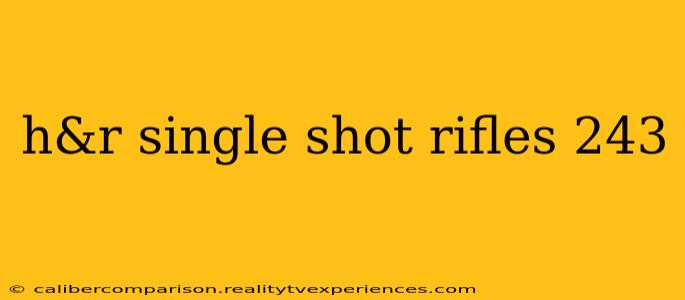 h&r single shot rifles 243