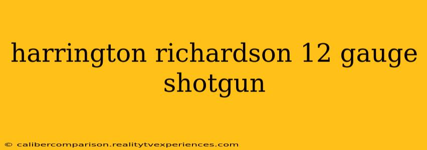 harrington richardson 12 gauge shotgun