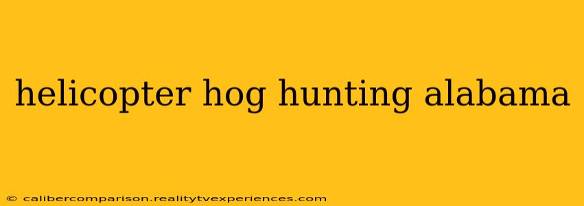 helicopter hog hunting alabama