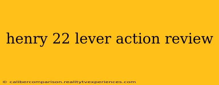 henry 22 lever action review