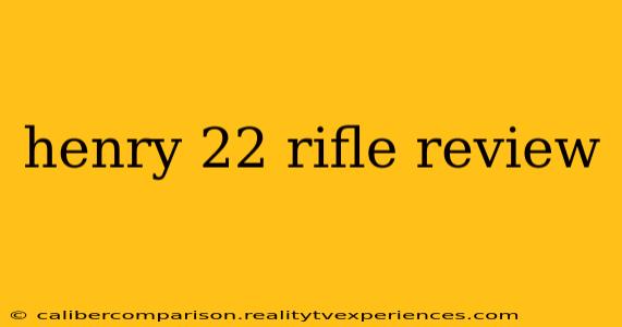 henry 22 rifle review