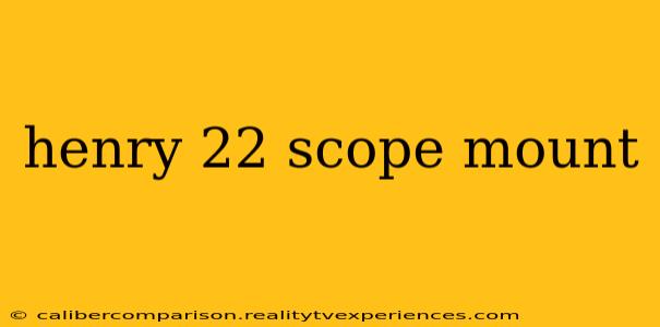 henry 22 scope mount