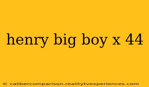 henry big boy x 44