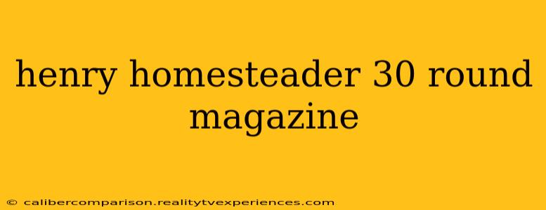 henry homesteader 30 round magazine