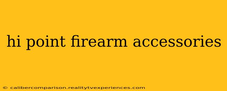 hi point firearm accessories