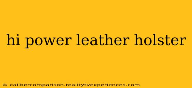 hi power leather holster