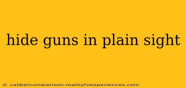 hide guns in plain sight