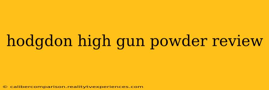 hodgdon high gun powder review