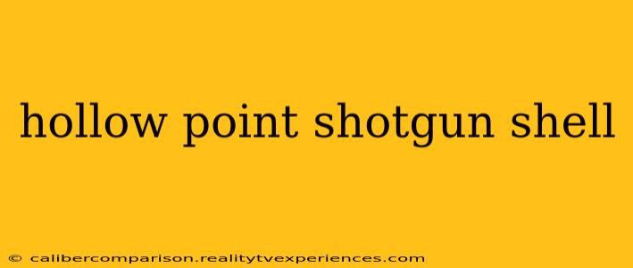 hollow point shotgun shell