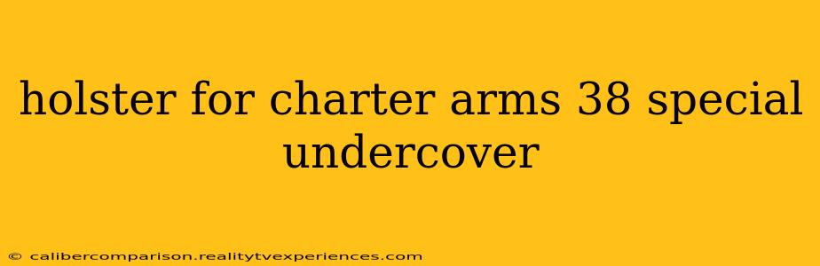 holster for charter arms 38 special undercover