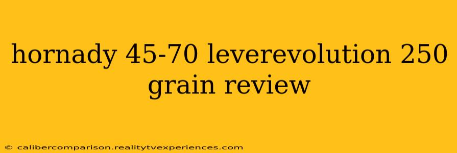 hornady 45-70 leverevolution 250 grain review