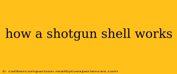 how a shotgun shell works