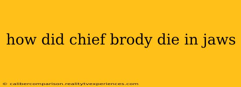 how did chief brody die in jaws