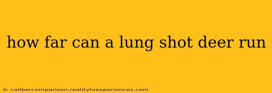 how far can a lung shot deer run