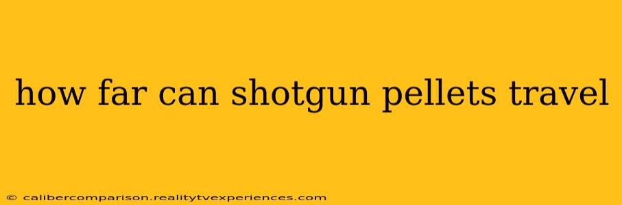 how far can shotgun pellets travel